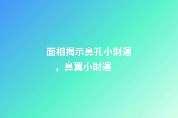 面相揭示鼻孔小財運，鼻翼小財運
